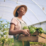 Farm Worker Jobs in Canada with Visa Sponsorship