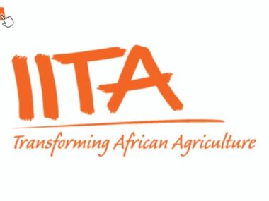 IITA Outreach Coordinator Nigeria
