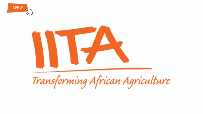 IITA Outreach Coordinator Nigeria