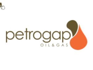 Petrogap Oil and Gas Limited Accountant