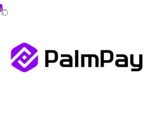 Customer Experience Officer at PalmPay