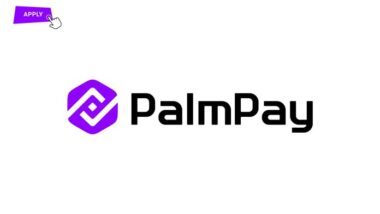 Customer Experience Officer at PalmPay