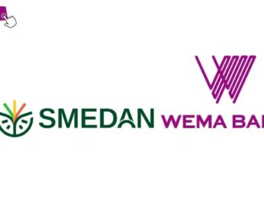 SMEDAN Wema Capacity Development Program