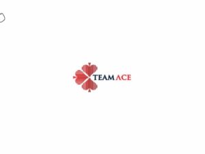 Job Opportunities at TeamAce Limited