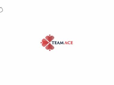 Job Opportunities at TeamAce Limited