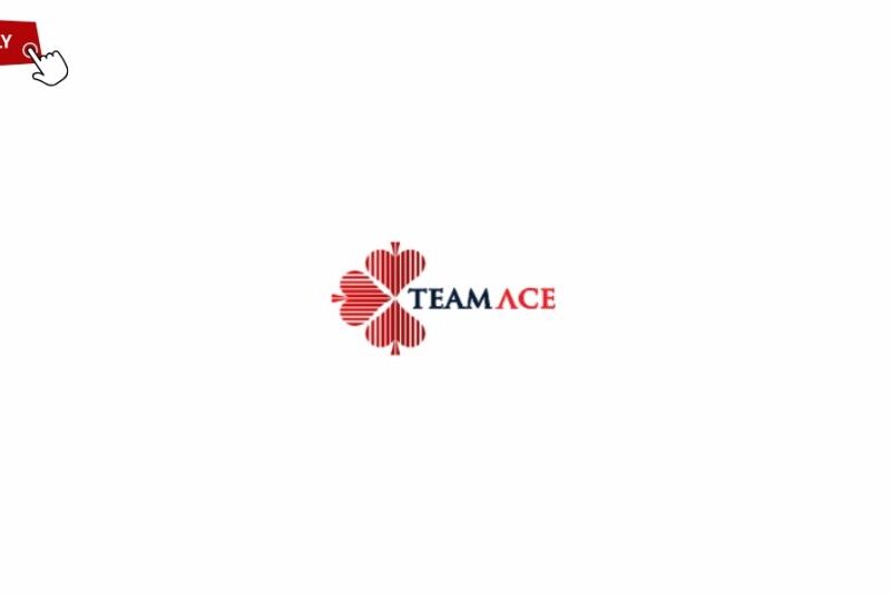 Job Opportunities at TeamAce Limited