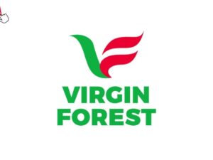 Station Cashier job at Virgin Forest Energy Limited Ask ChatGPT