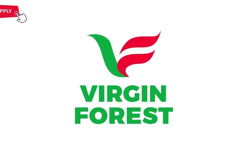 Station Cashier job at Virgin Forest Energy Limited Ask ChatGPT