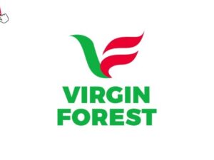Virgin Forest Energy cashier job