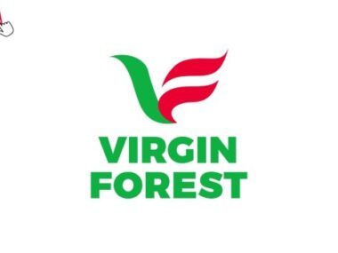 Virgin Forest Energy cashier job