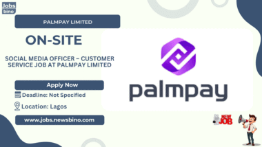 Job at PalmPay Limited