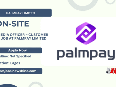 Job at PalmPay Limited