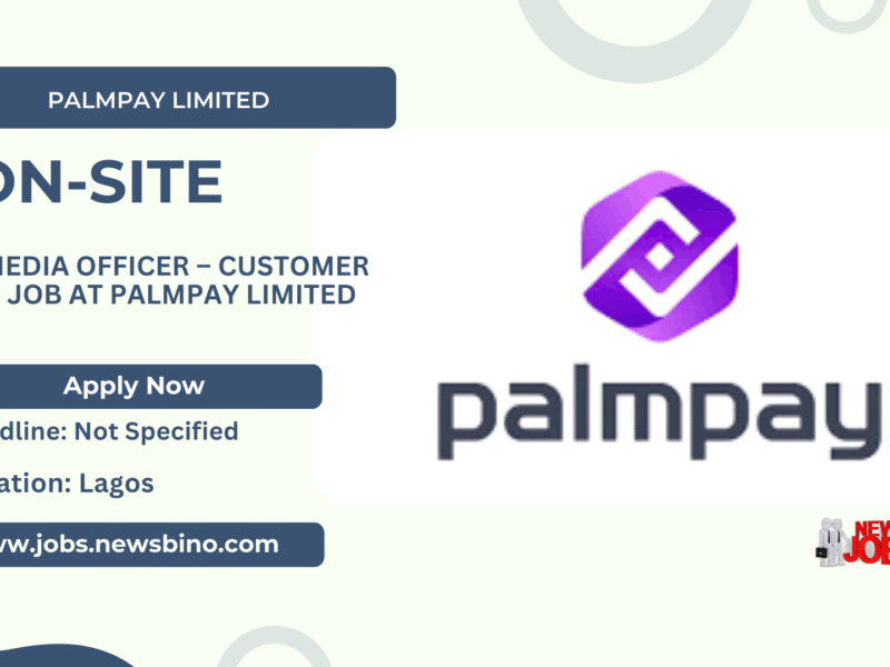 Job at PalmPay Limited