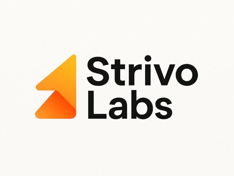 Technical Project Manager Job at Strivo Labs